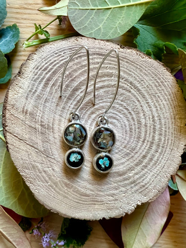 Boucles d’oreilles Daucus Abalone
