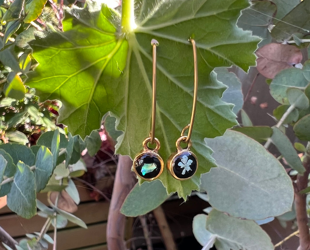 Boucles d’oreilles Daucus minis