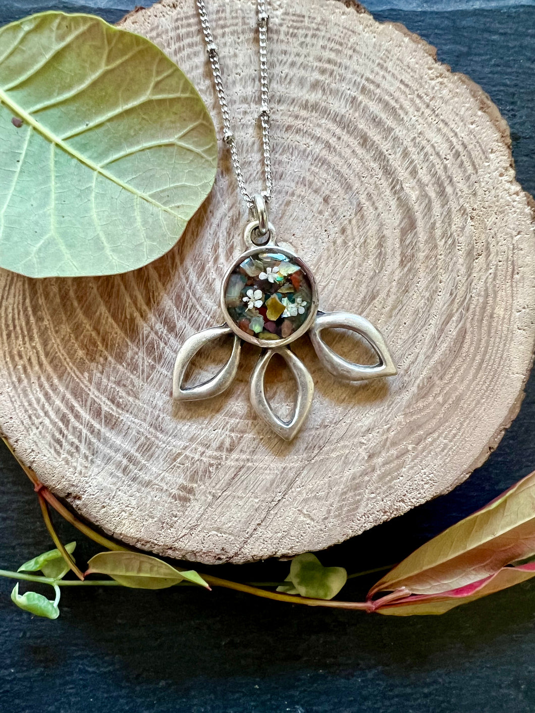 Collier Daucus