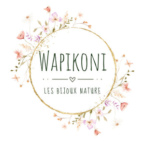 Wapikoni les bijoux nature